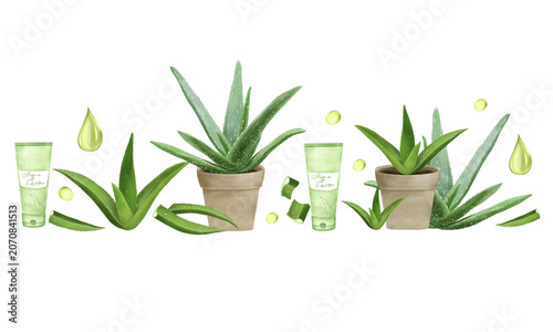 Watercolor Aloe Vera Banner with Aloe plant, leaves, Sliced Aloe pieces with Gel, Cosmetic cream tubes, decorative oil Drops. Hand drawn botanical Illustration 