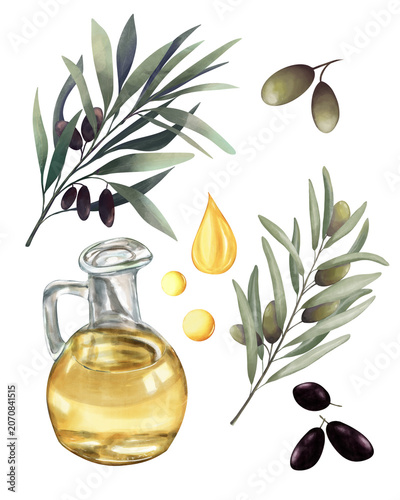 Watercolor Olive oil Set with oil carafe, Olive branches, black and green olives, oil drops. Hand drawn botanical Illustration 
