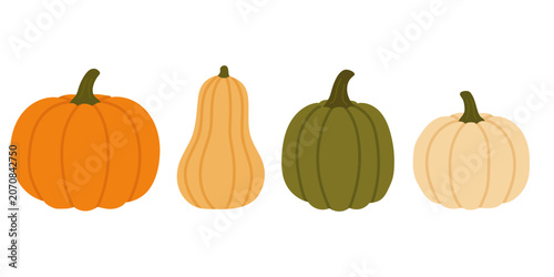 Collection of pumpkins and gourds in warm autumn colors for harvest, fall season and Thanksgiving themes