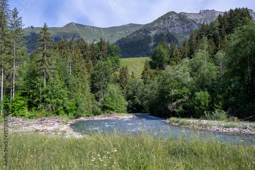 River Sarine in the Riviera-Pays-d'Enhaut in Switzerland, Vaud canton, in summer, with a view of the Alps.