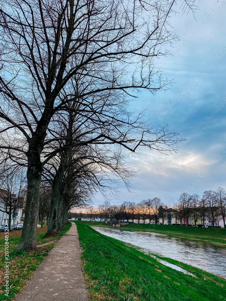 Fototapeta premium Bare Trees Lining Riverside Pathway at Dusk