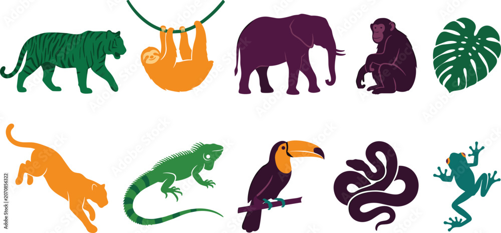 Fototapeta premium Tropical Rainforest Animal Icon Set with Tiger, Sloth, Elephant, Monkey, Toucan, Reptiles, and Jungle Wildlife Illustrations