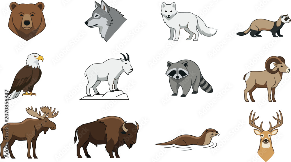 Fototapeta premium North American Wildlife Animal Collection with Bear, Wolf, Eagle, Moose, Bison, Deer, and Forest Mammal Vector Illustrations