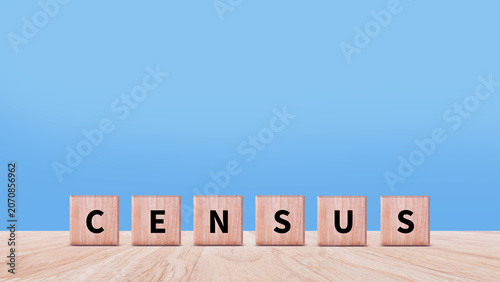 Quadro su tela Census words from wooden blocks with letters