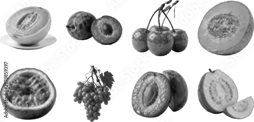 Halftone illustrations of various fruits including melons grapes and berries in grayscale