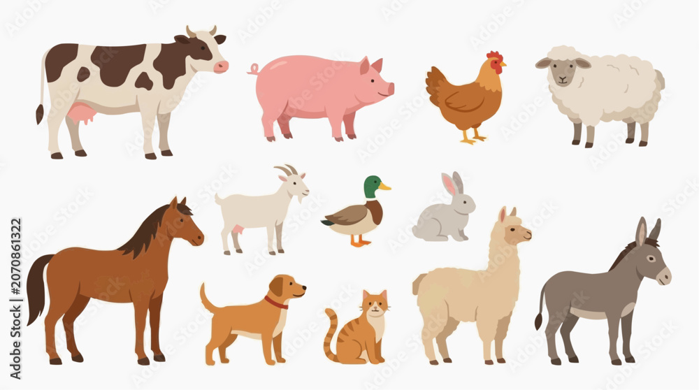 Fototapeta premium A collection of farm animal illustration for the concept of livestock and agriculture.