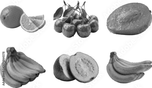 Halftone illustration of various fruits including bananas and pears  several types shown