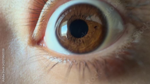 Close-up of human brown eye blinking, squinting and widening in surprise, showing detailed iris texture, eyeball movement and pupil dilation reflecting a window