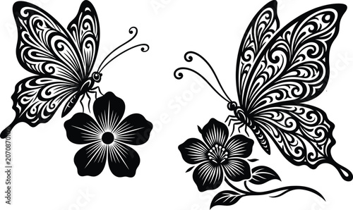 Photos Butterflies And Flowers Silhouette Intricate Black And White Design