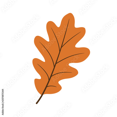 Orange oak leaf flat vector illustration on white background