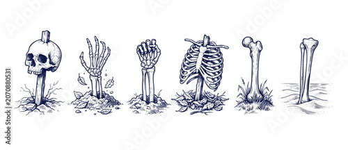Konstfotografi Human skeleton bone hand drawing set with skull on post, ribcage, creepy arm rising from ground, and leg bones in soil for Halloween horror design elements, engraving style isolated on white