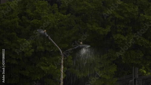 Street lamp illuminating heavy pouring rain against a dark green trees background at night. Moody atmospheric shot of rain drops falling under the streetlight beam, storm weather concept