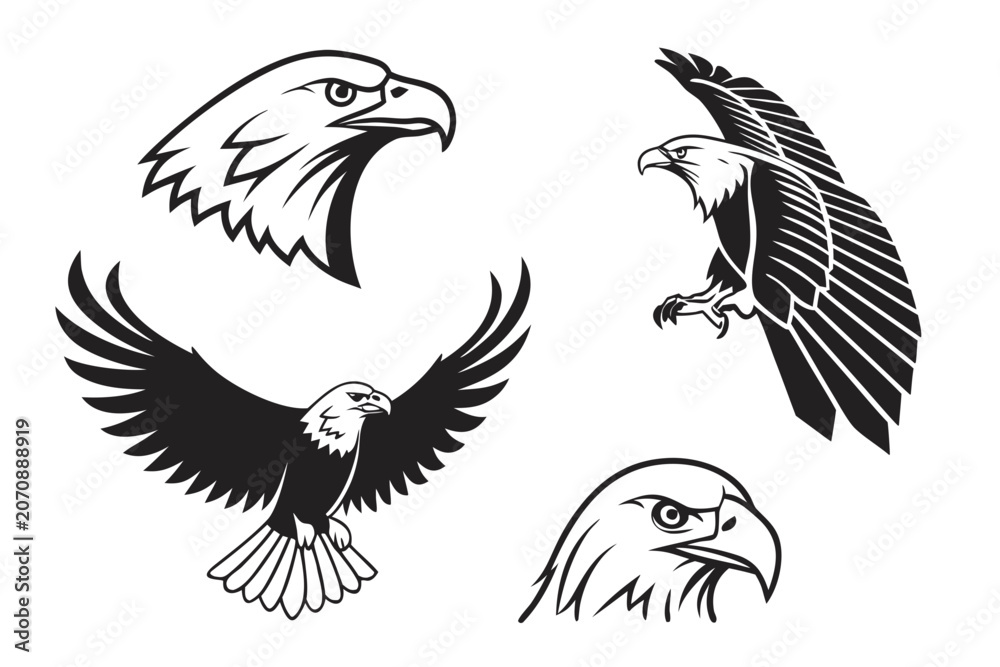 Naklejka premium Three stylized eagles flying and perched illustration