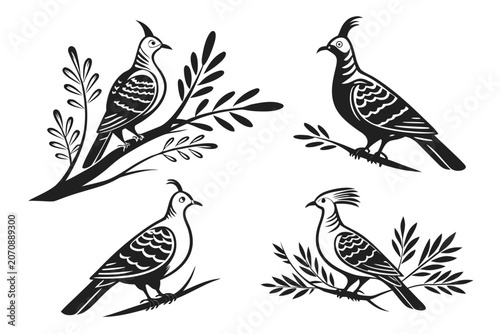Black and white birds illustration with floral elements