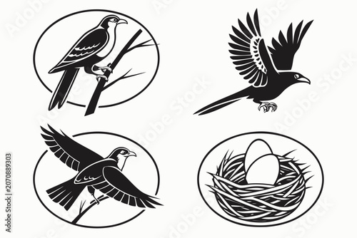 Four stylized bird icons in flight and perched