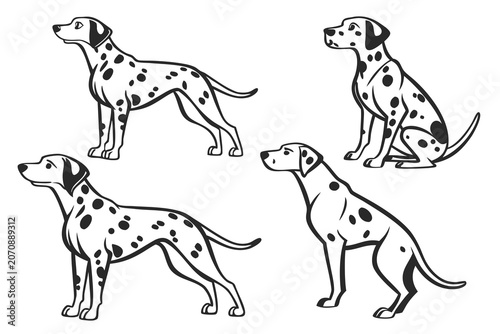 Dalmatian dogs in playful poses vector illustration