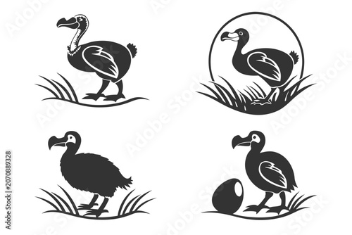 Four black and white bird illustrations with grass background