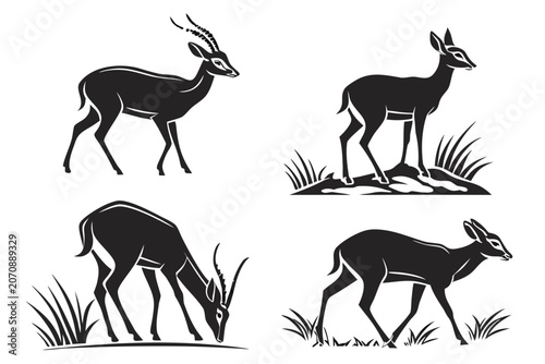 Four deer grazing in a grassy field