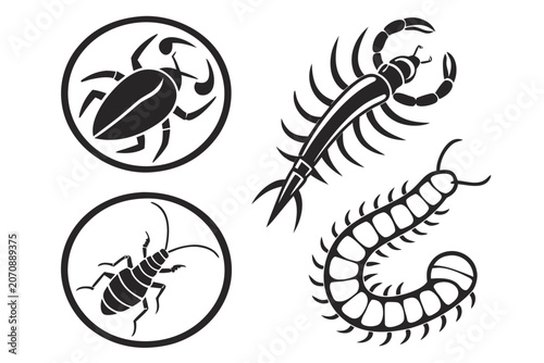 Illustrated insects and centipede vector icons