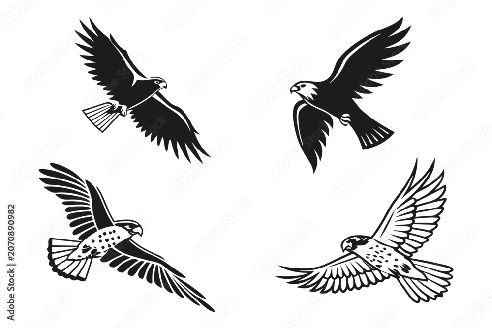 Fototapeta premium Four black and white bird silhouettes flying