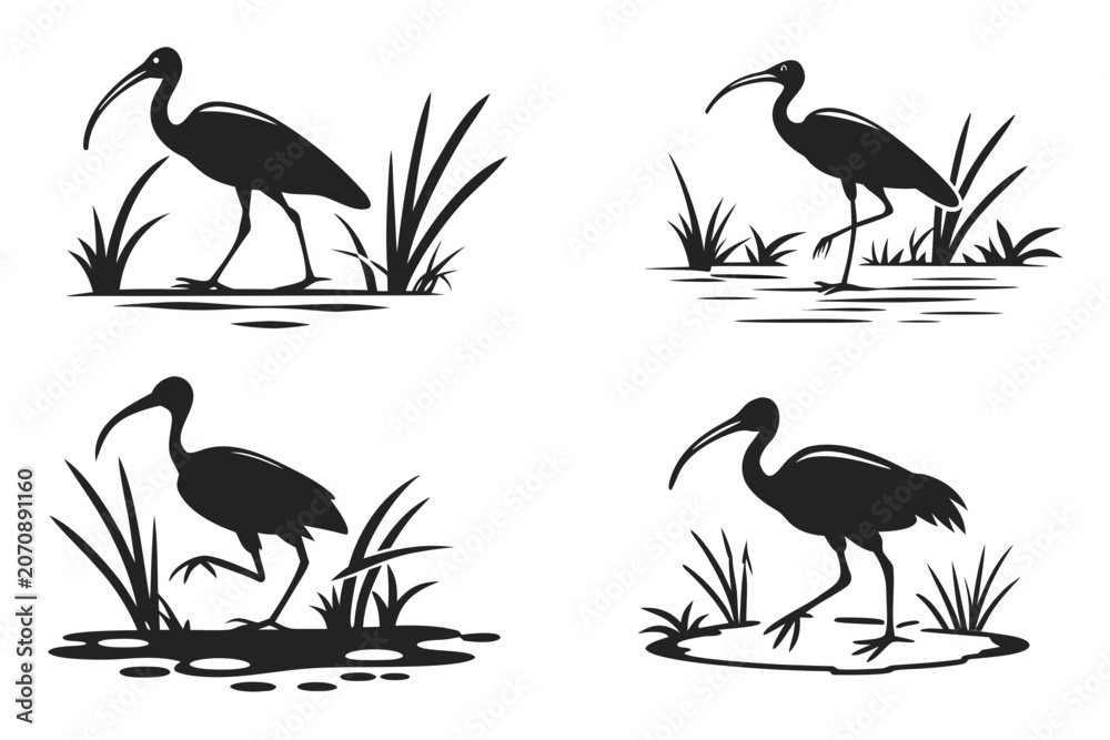 Fototapeta premium Four black silhouettes of cranes standing in water