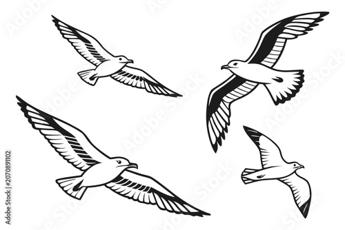 Four birds flying in a clear sky