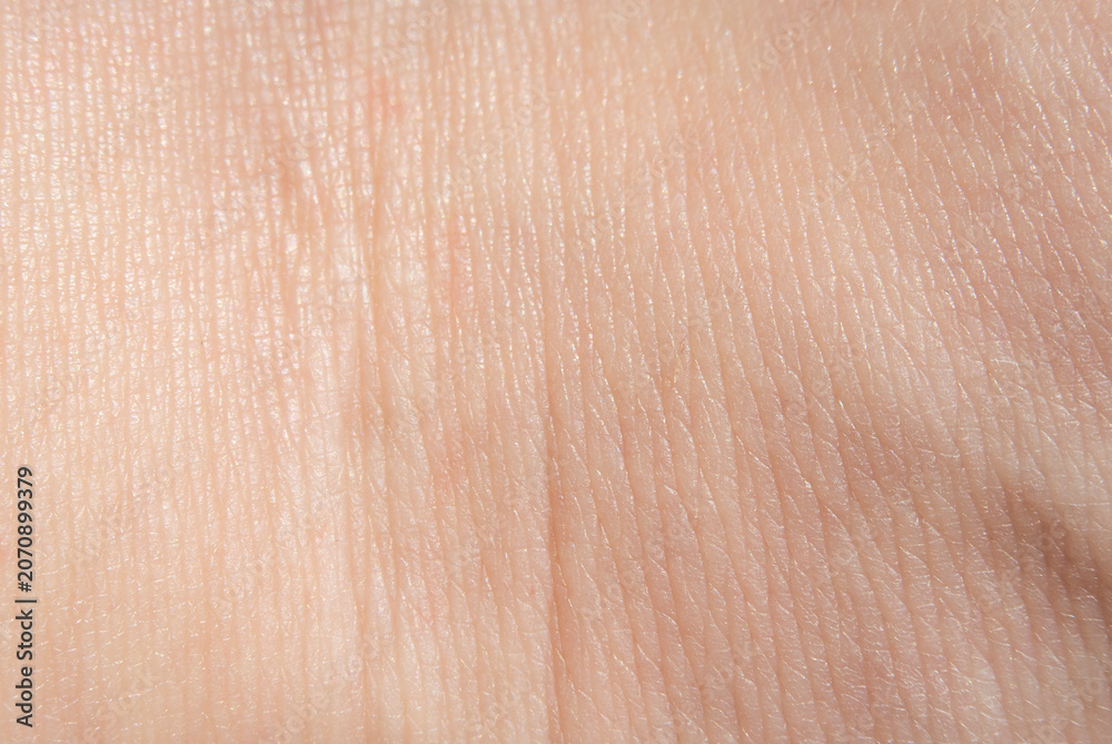 Fototapeta premium Subtle organic structures forming intricate patterns on human skin 