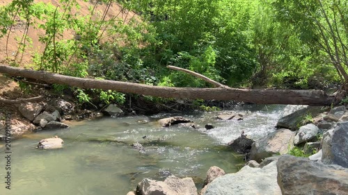 Fallen tree trunk spanning over rocky stream with lush green vegetation and eroded clay bank behind