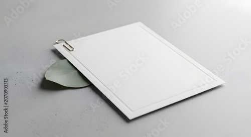 Clean paper mockup with eucalyptus realistic presentation for branding and graphic design projects