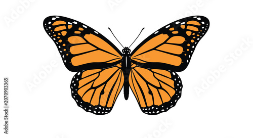 Tableau sur toile Orange monarch butterfly with detailed wing patterns presented as a flat vector