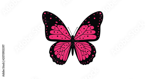 Quadro su tela pink butterfly with black outline on white background silhouette insect wing nat