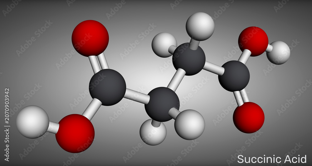 Obraz premium Succinic acid molecule, 3D model. Butanedioic acid, citric acid cycle intermediate, krebs cycle, cellular respiration, precursor to some polyesters, food additive E363, 3d render