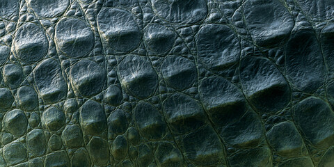 Close up macro photograph of dark green crocodile skin showing detailed leathery scales and rough texture
