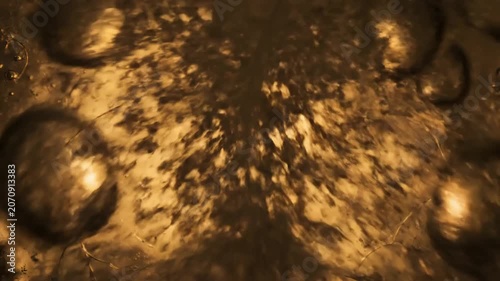 Golden Bubbles Floating in Viscous Liquid Macro Closeup