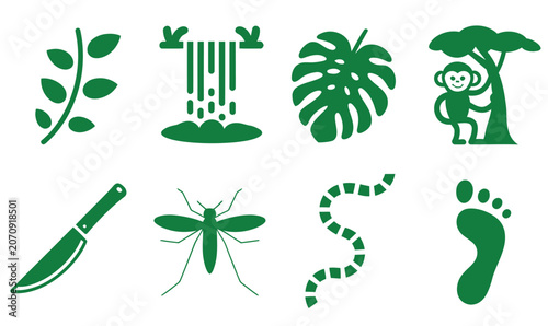 Photography Jungle and rainforest icons illustration set, generic plants animals and exploration elements for nature themes