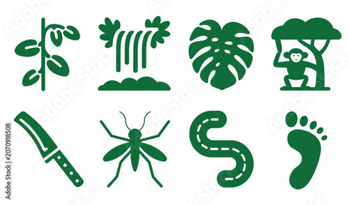 Photography Jungle and rainforest icons collection illustration set, generic tropical wildlife foliage and adventure symbols