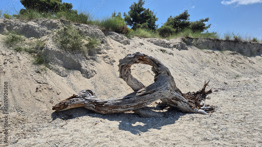 Fototapeta premium A weathered, uniquely twisted piece of driftwood sits on a sandy beach against a backdrop of a small, grassy dune and a bright blue sky.