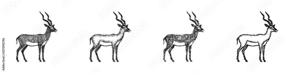 Fototapeta premium Black and white sketch impala icon design set