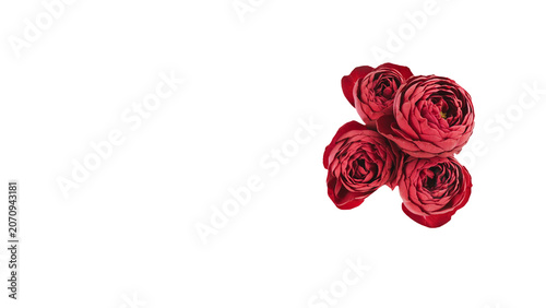 赤い薔薇の花束の背景透過マクロ素材