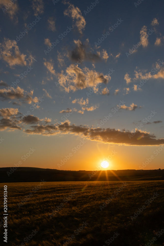 Obraz premium golden wheat field in sunset light