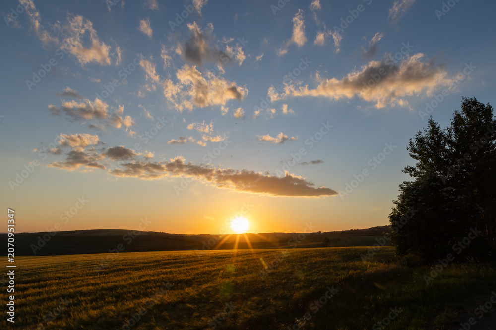 Obraz premium golden wheat field in sunset light