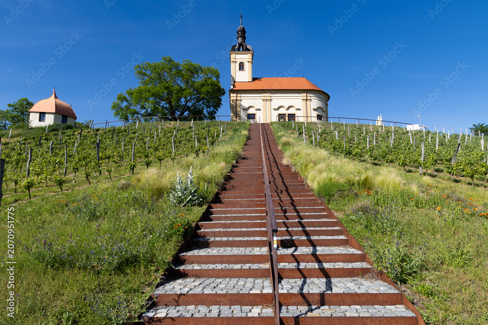 Fototapeta premium church in middle of a vineyard in Moravia