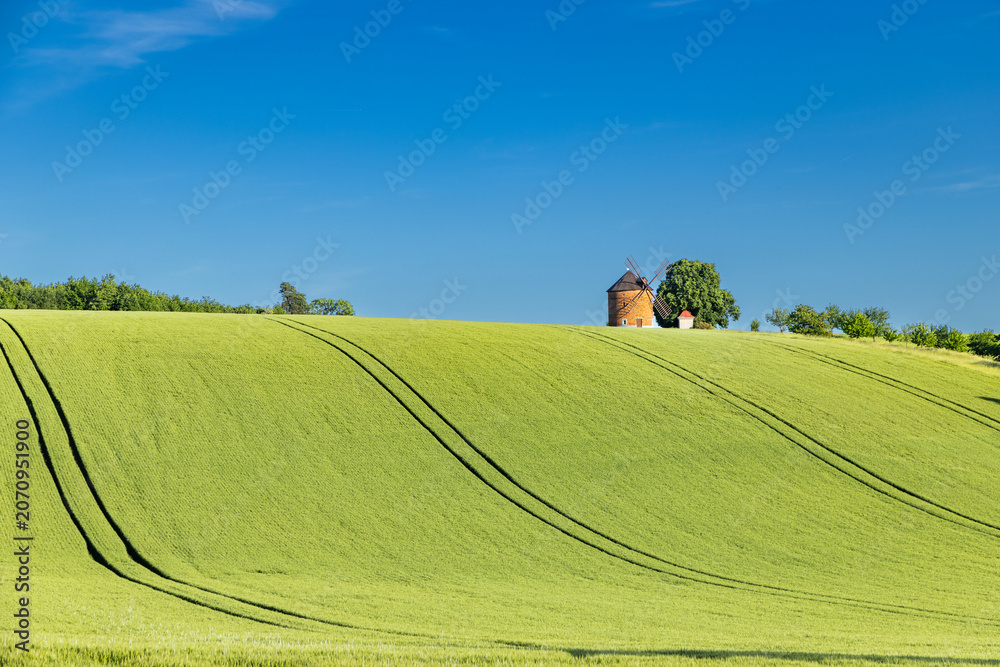 Obraz premium rolling green fields in early summer in Czech Moravia
