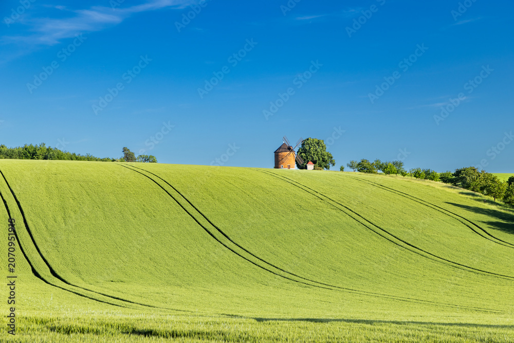 Obraz premium rolling green fields in early summer in Czech Moravia