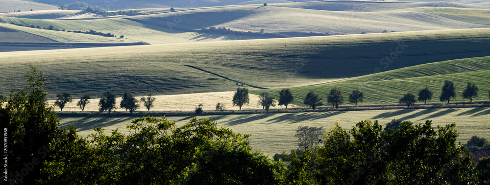 Obraz premium rolling green fields in early summer in Czech Moravia