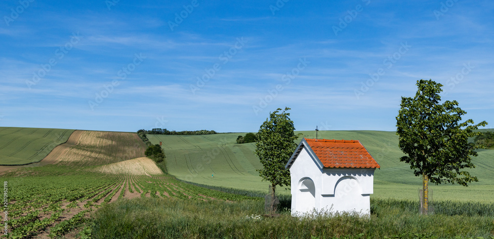 Obraz premium rolling green fields in early summer in Czech Moravia
