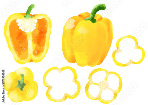 黄色パプリカのイラスト　手描き　水彩風