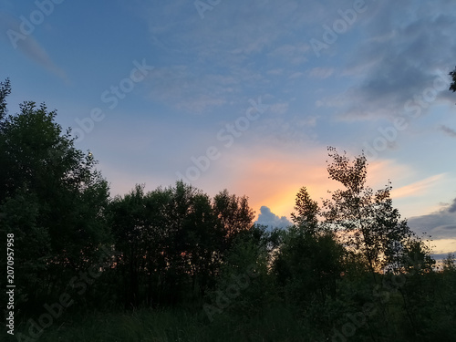 Bright colorful sunset sky in the forest under green summer field
