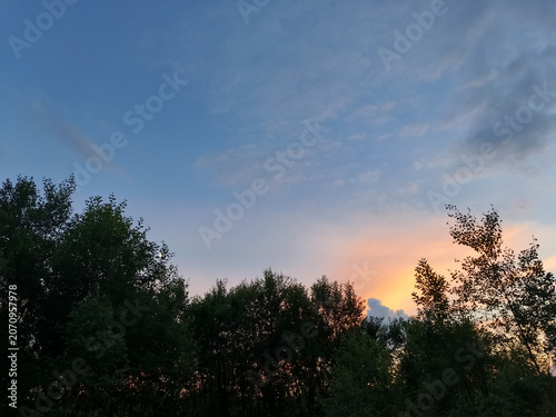 Bright colorful sunset sky in the forest under green summer field