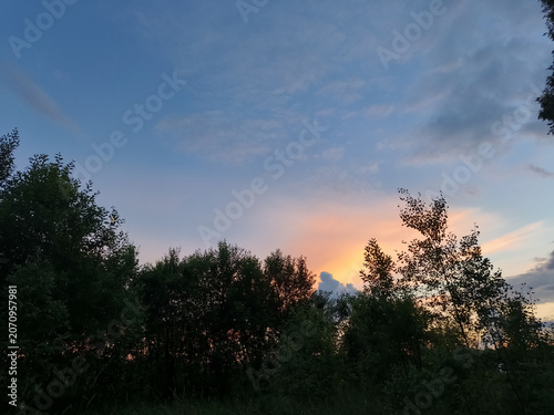 Bright colorful sunset sky in the forest under green summer field
